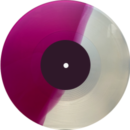 2色のレコード