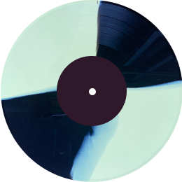 2色のレコード